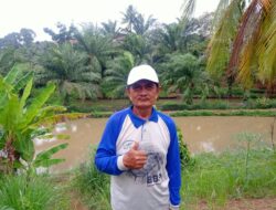 Basarudin Pensiunan DKP Kota Bengkulu Buka Wisata Kolam Pemancingan