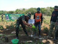 Kodim Lamongan dan Perhutani Lakukan Penghijauan