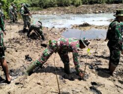 Sinergi TNI, Polri, Pemda dan Masyarakat: Penanaman Mangrove di Lamongan untuk Kelestarian Alam