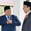 Sejumlah Bantuan Jokowi ke Prabowo Siapkan Pemerintahan ke Depan…