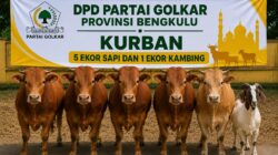 Hari Raya Iduladha 1447 Hijriah, DPD Partai Golkar Provinsi Bengkulu Kurban 5 Sapi dan 1 Kambing