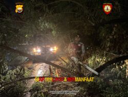 Personel Piket Pos Shelter Pantai Panjang Sigap Evakuasi Pohon Tumbang di Belakang Hotel Grage